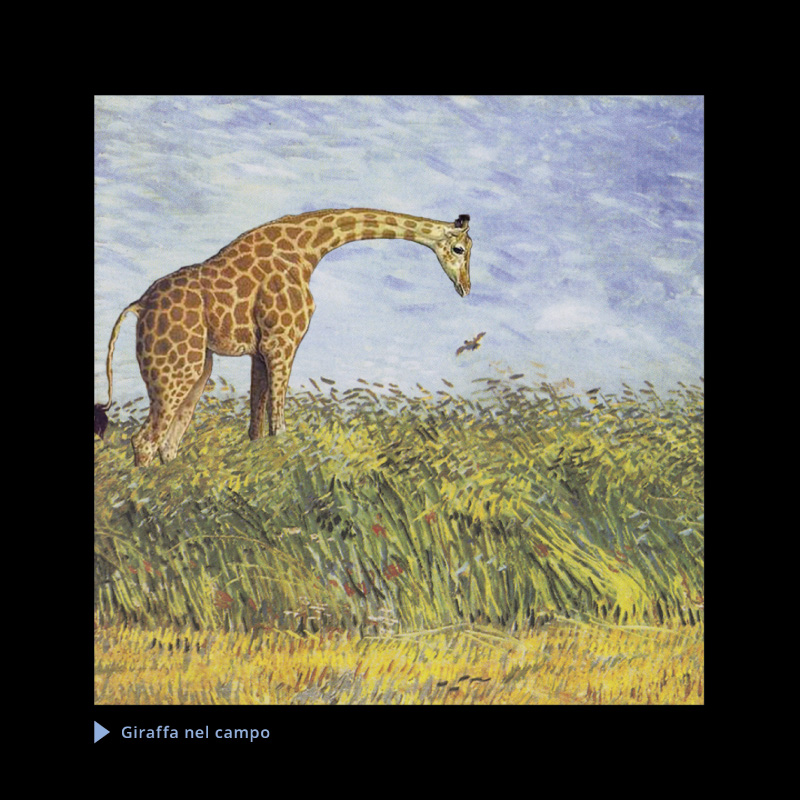 Giraffa nel campo