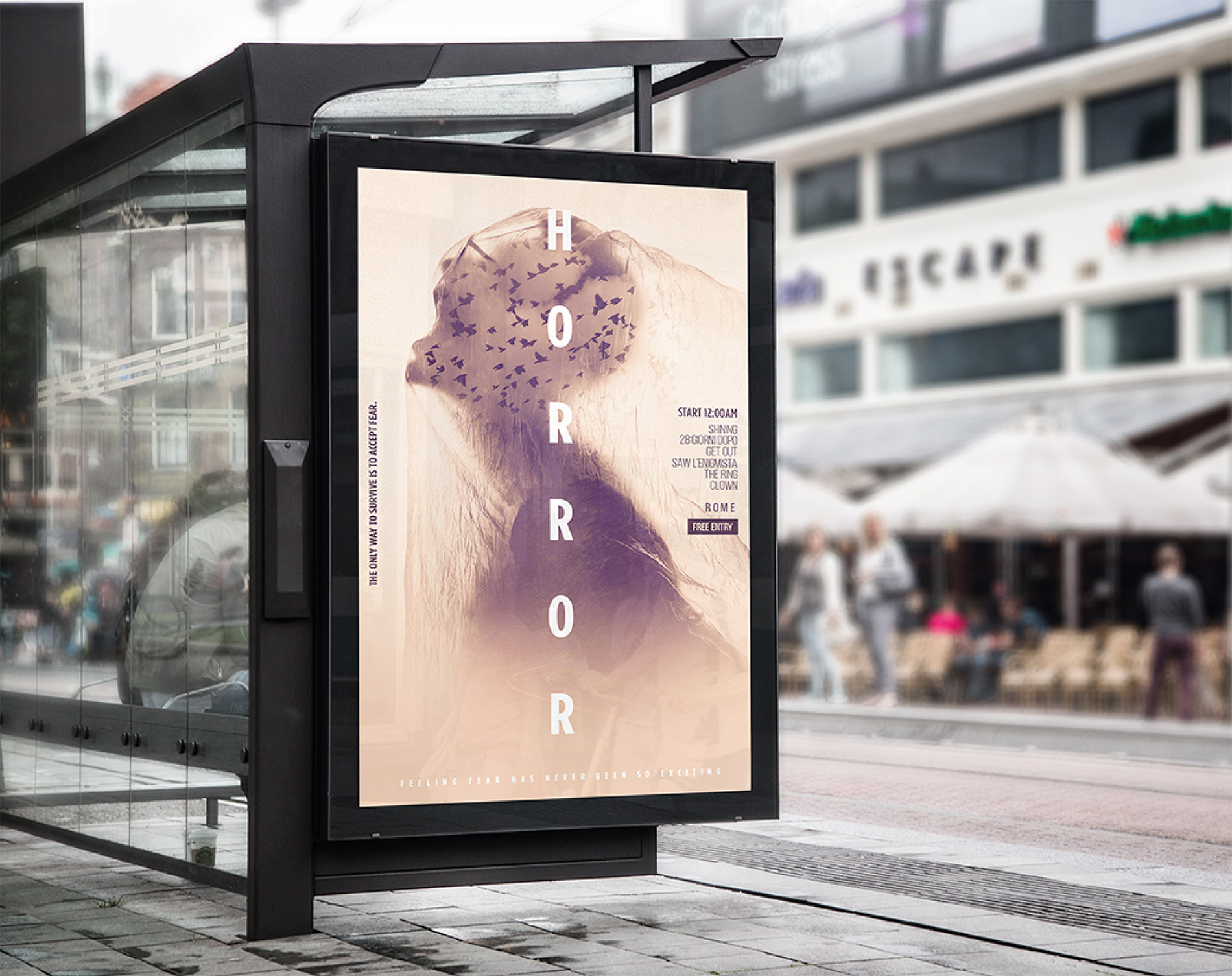 portfolio web