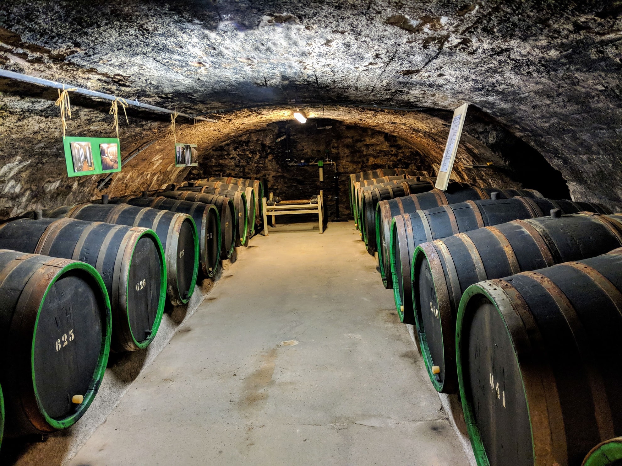 immagine di botti, cantine
