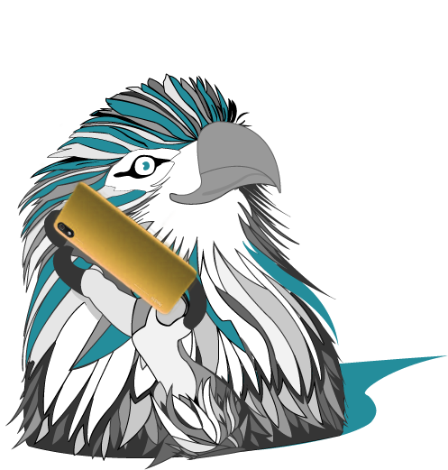 aquila contatta